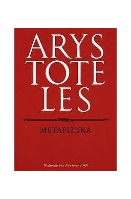 Metafizyka