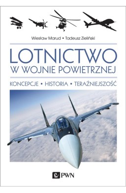 Lotnictwo w wojnie powietrznej