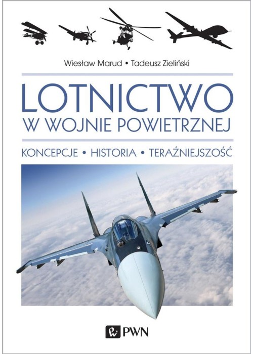 Lotnictwo w wojnie powietrznej