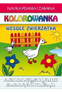 Kolorowanka Wesołe zwierzętka
