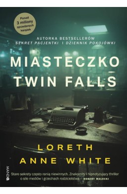 Miasteczko Twin Falls
