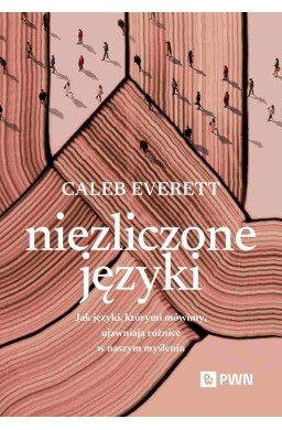 Niezliczone języki
