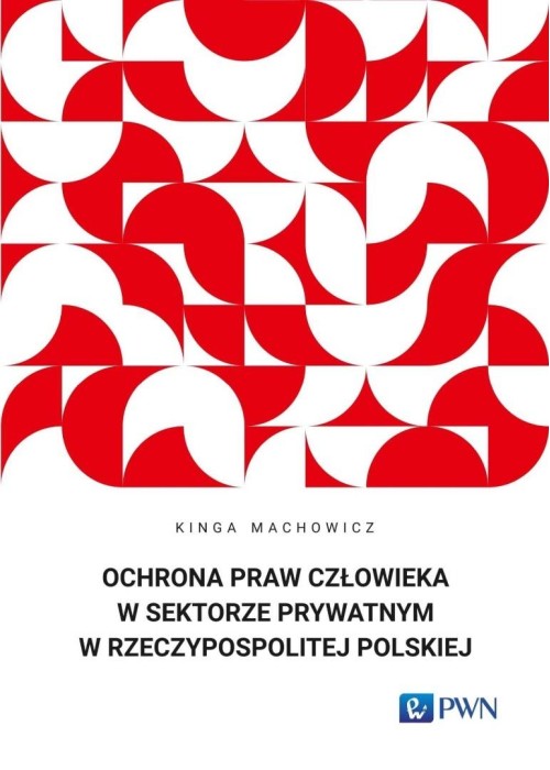 Ochrona praw człowieka w sektorze prywatnym...