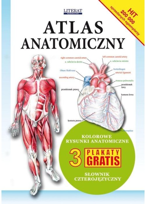 Atlas anatomiczny
