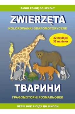 Zwierzęta. Kolorowanki grafomotoryczne
