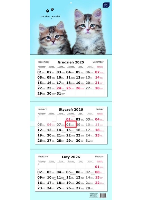 Kalendarz 2026 trójdzielny 82,5x34cm Koty Kalendarz 2026 trójdzielny 82,5x34cm Koty