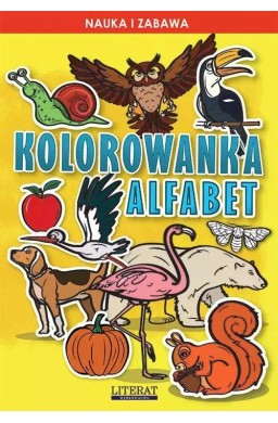 Kolorowanka alfabet