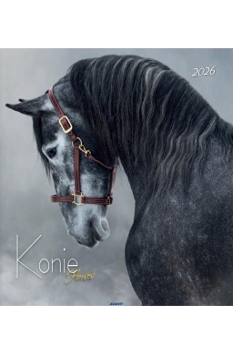 Kalendarz 2026 ścienny 32x32cm Konie