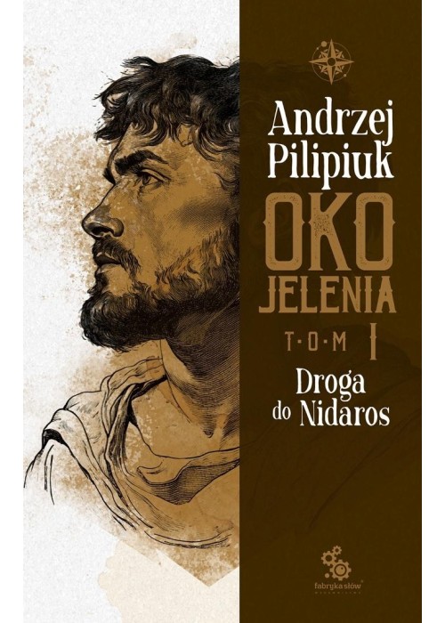 Oko Jelenia. Droga do Nidaros