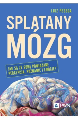 Splątany mózg. Jak są ze sobą powiązane percepcja.