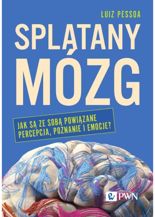 Splątany mózg. Jak są ze sobą powiązane percepcja.