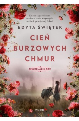 Spacer Aleją Róż T.1 Cień burzowych chmur
