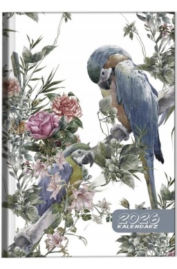Kalendarz 2026 A5 dzienny sb/nd osobno Papugi boho