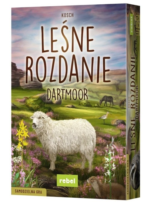 Leśne rozdanie: Dartmoor REBEL Leśne rozdanie: Dartmoor REBEL