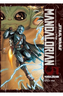 Star Wars Mandalorianin T.5