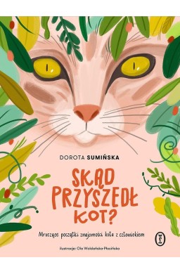 Skąd przyszedł kot?