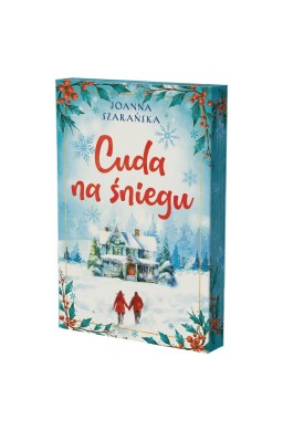 Cuda na śniegu (barwione brzegi)