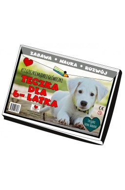 Teczka dla 6 latka. Książeczki mądrej główeczki