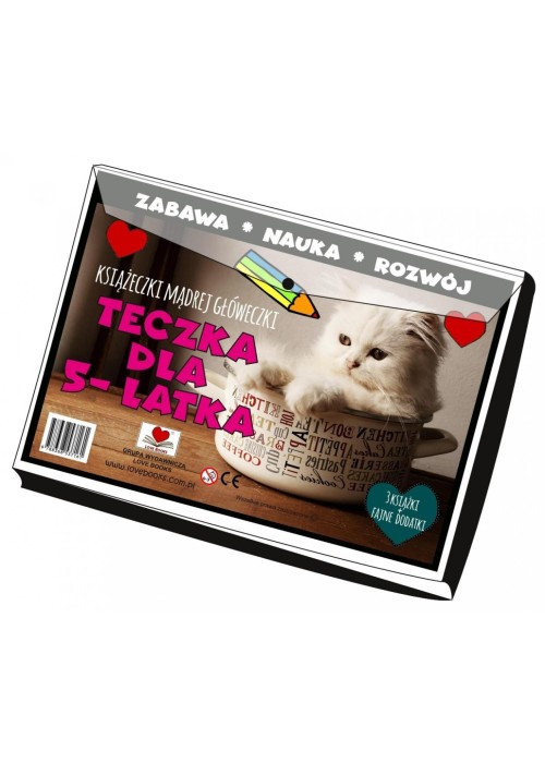 Teczka dla 5 latka. Książeczki mądrej główeczki