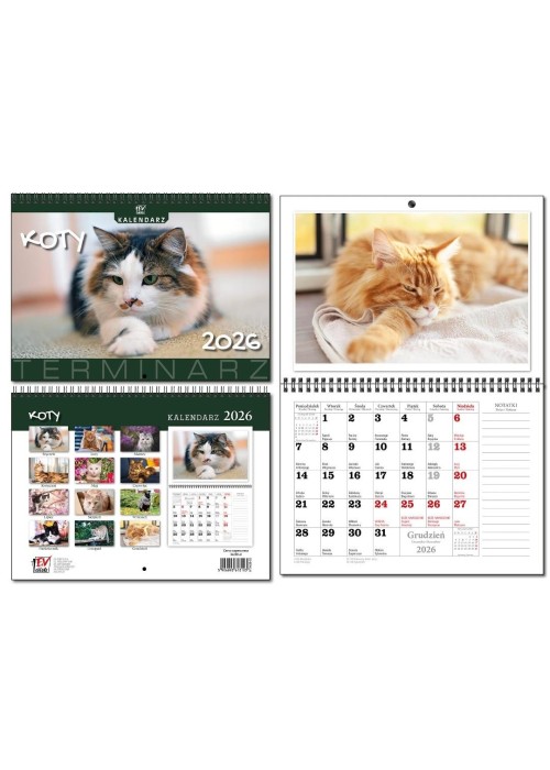 Kalendarz 2026 A3 terminarz 13p Koty