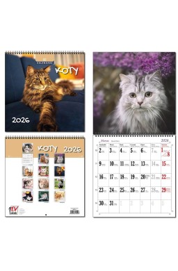Kalendarz 2026 30x60 13 planszowy Koty