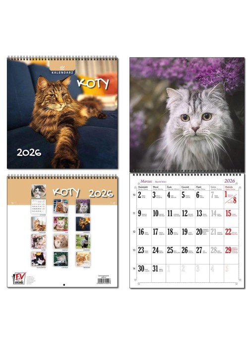 Kalendarz 2026 30x60 13 planszowy Koty