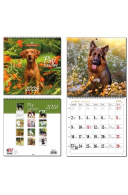 Kalendarz 2026 30x60 13 planszowy Psy Rasowe