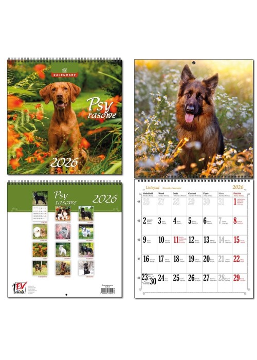 Kalendarz 2026 30x60 13 planszowy Psy Rasowe