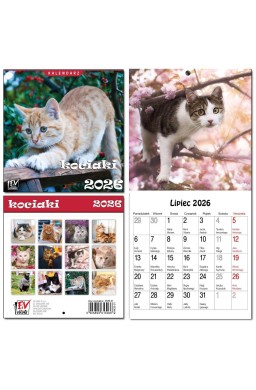 Kalendarz 2026 dla dzieci 16x32 13 plansz Kociaki