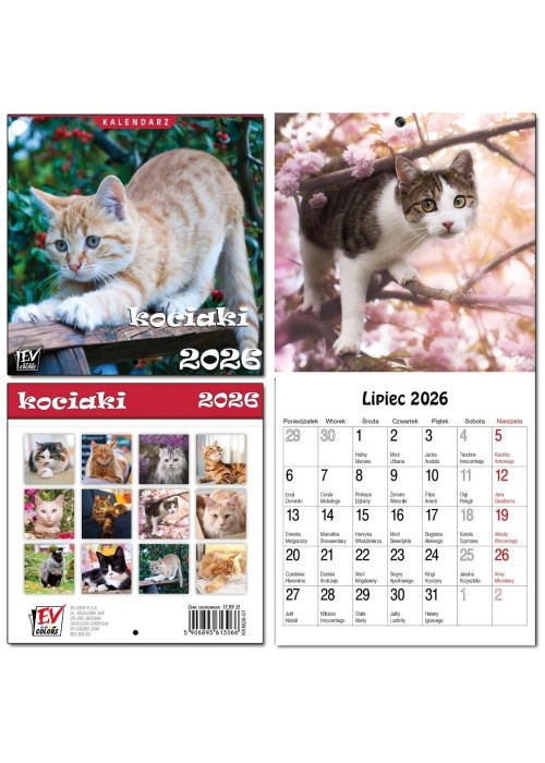 Kalendarz 2026 dla dzieci 16x32 13 plansz Kociaki