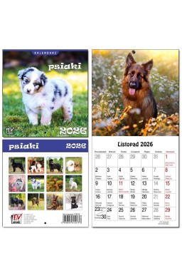 Kalendarz 2026 dla dzieci 16x32 13 plansz Psiaki
