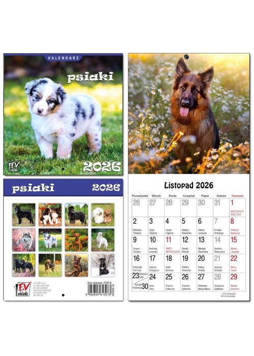 Kalendarz 2026 dla dzieci 16x32 13 plansz Psiaki
