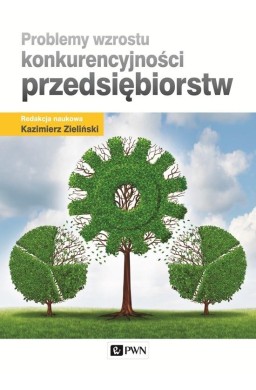 Problemy wzrostu konkurencyjności przedsiębiorstw