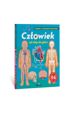 Człowiek od stóp do głów. Książka z ruchomymi el.