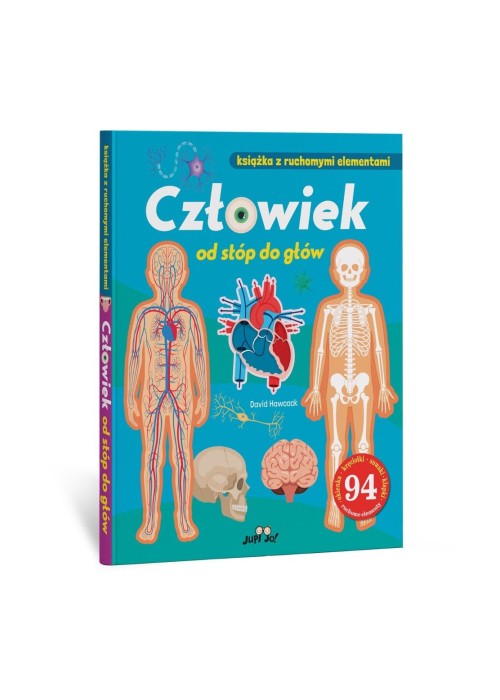 Człowiek od stóp do głów. Książka z ruchomymi el.