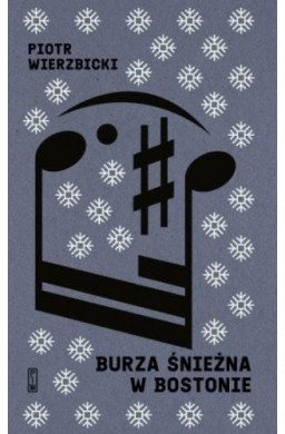 Burza śnieżna w Bostonie