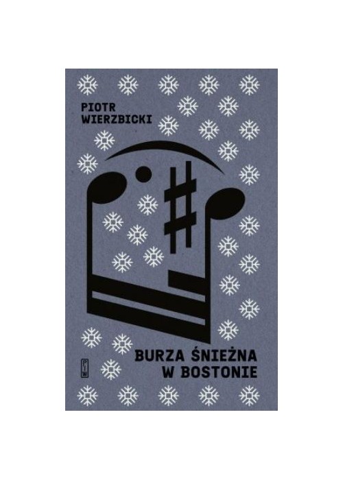 Burza śnieżna w Bostonie