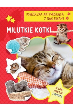 Książeczka aktywizująca naklejki. Milutkie kotki