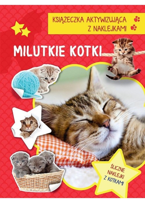 Książeczka aktywizująca naklejki. Milutkie kotki