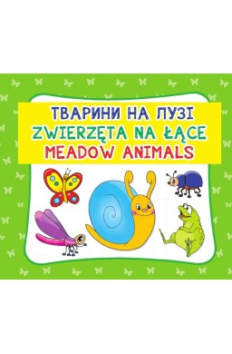 Zwierzęta na łące. Meadow animals