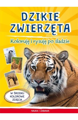 Dzikie zwierzęta. Koloruję i rysuję po śladzie