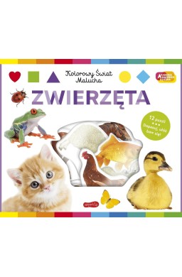Zwierzęta Akademia mądrego dziecka. Kolorowy...