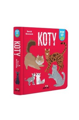 Koty. POP-UP 10