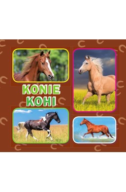 Konie