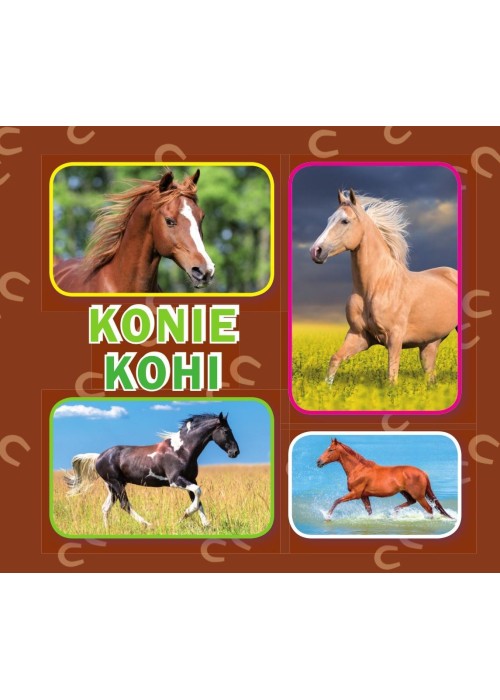 Konie