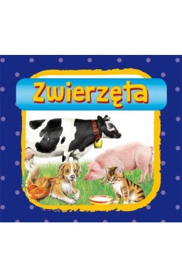 Zwierzęta
