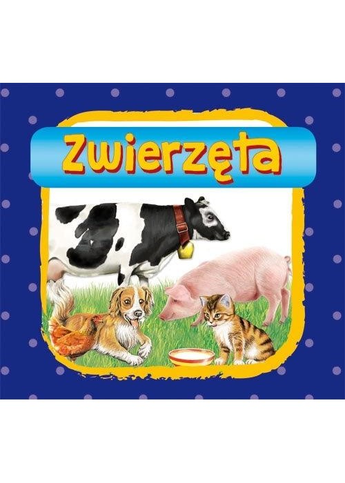 Zwierzęta