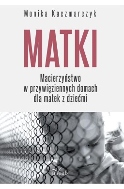 Matki. Macierzyństwo w przywięziennych domach...
