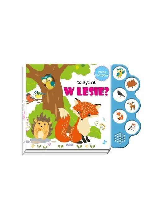 Co słychać w lesie?