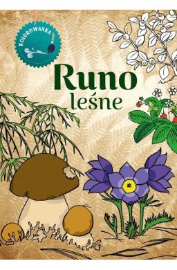 Kolorowanka. Runo Leśne